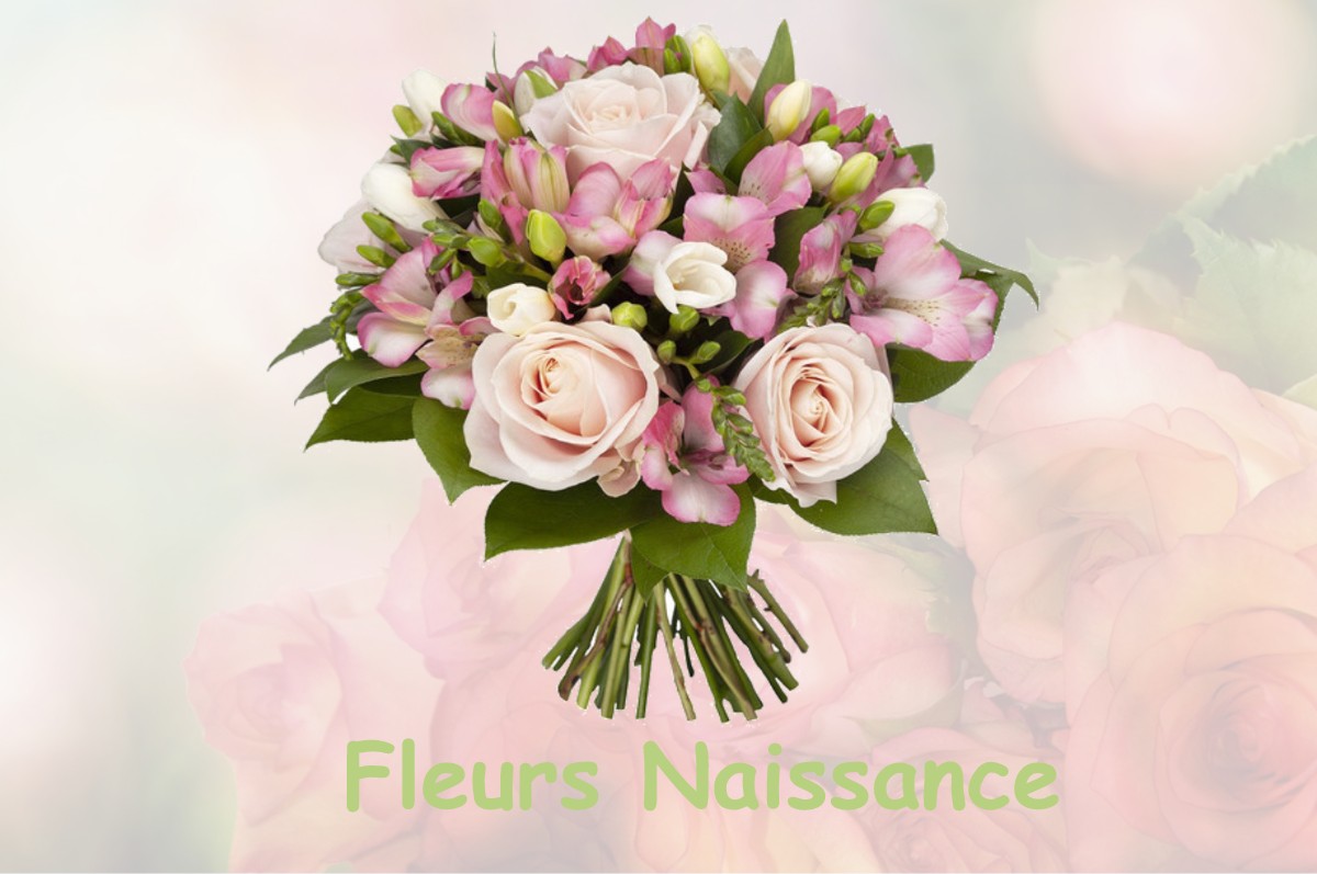 fleurs naissance SAINT-MARS-DE-COUTAIS